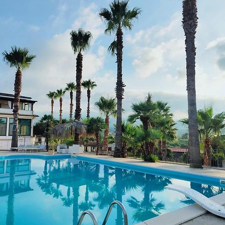 مبيت وإفطار لاميزيا تيرمي Palm House المظهر الخارجي الصورة