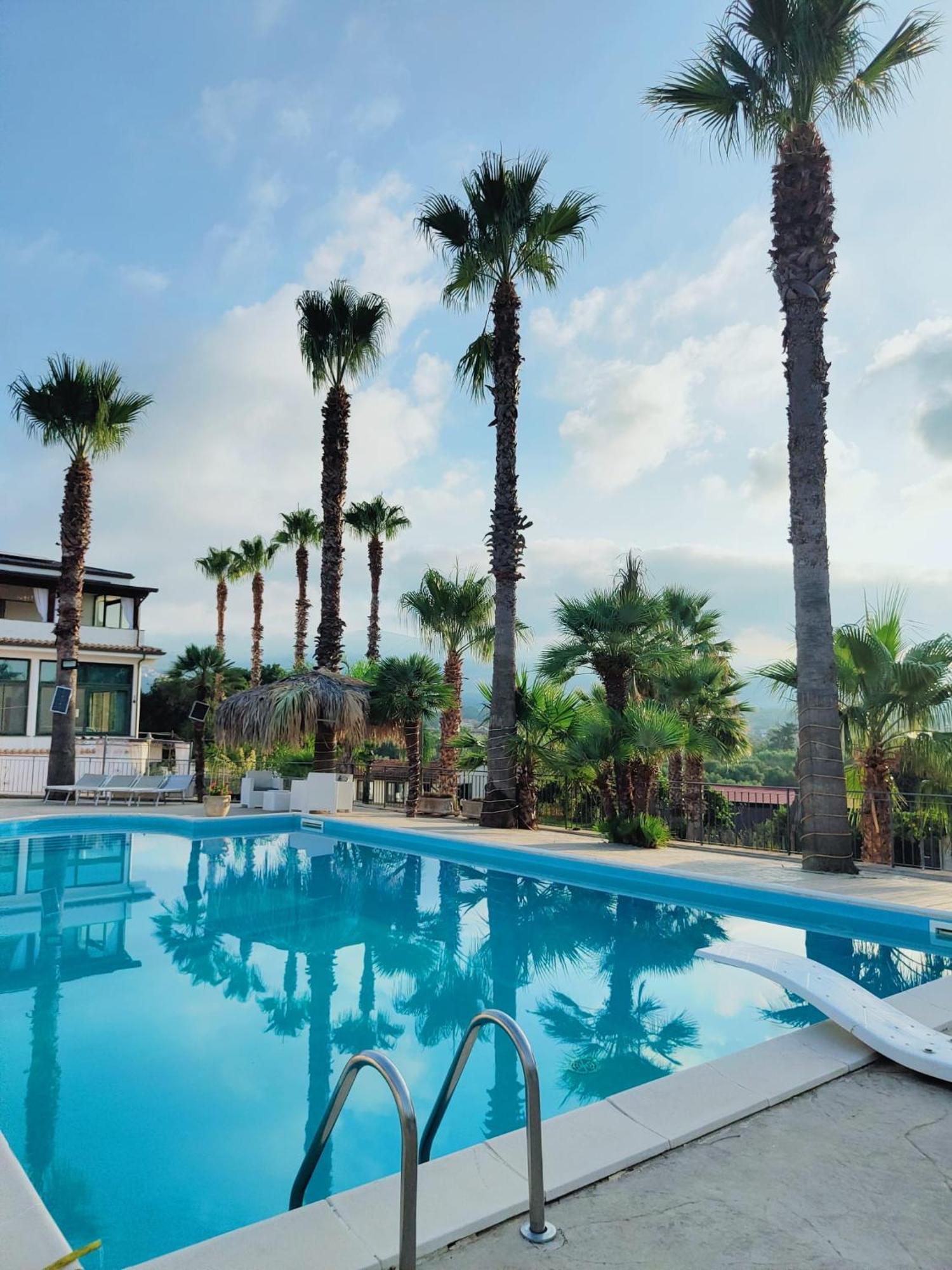 مبيت وإفطار لاميزيا تيرمي Palm House المظهر الخارجي الصورة